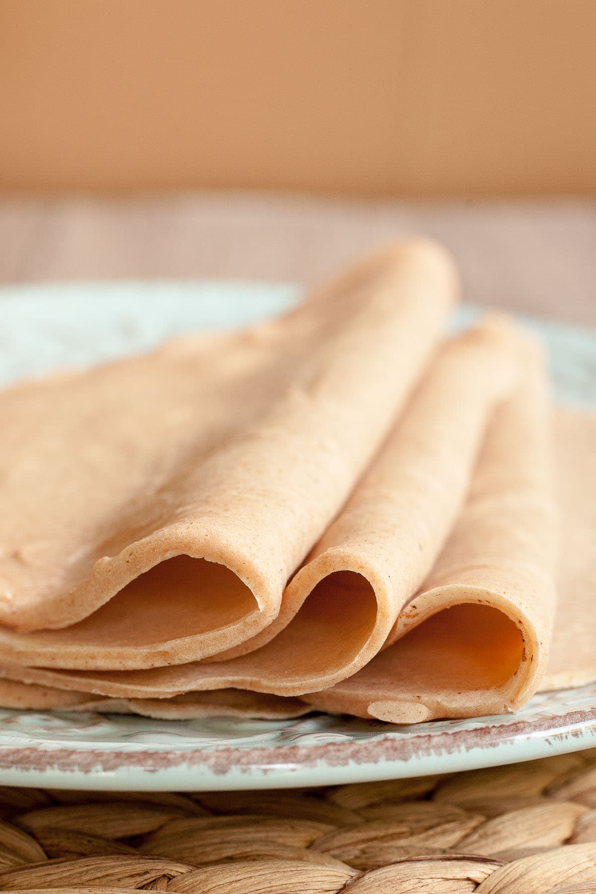 3 tortillas folded in half on top of one flat placed on a light blue plate