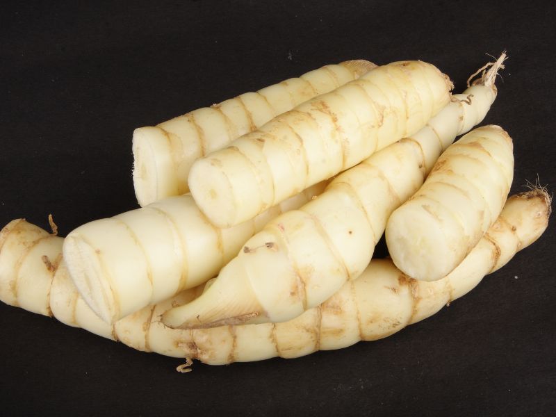 White root vegetable in a black background