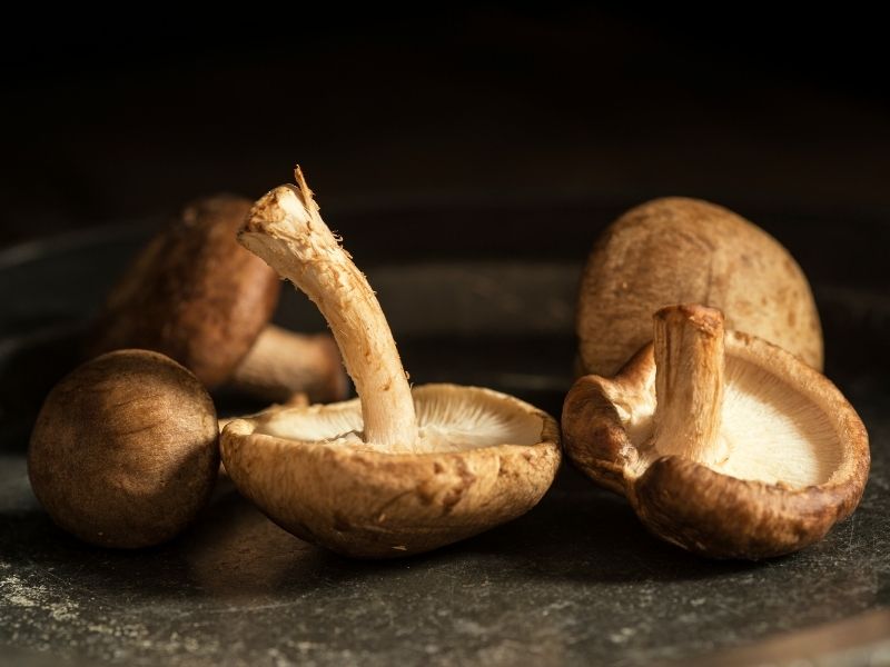 Brown mushrooms on a dark grey surface