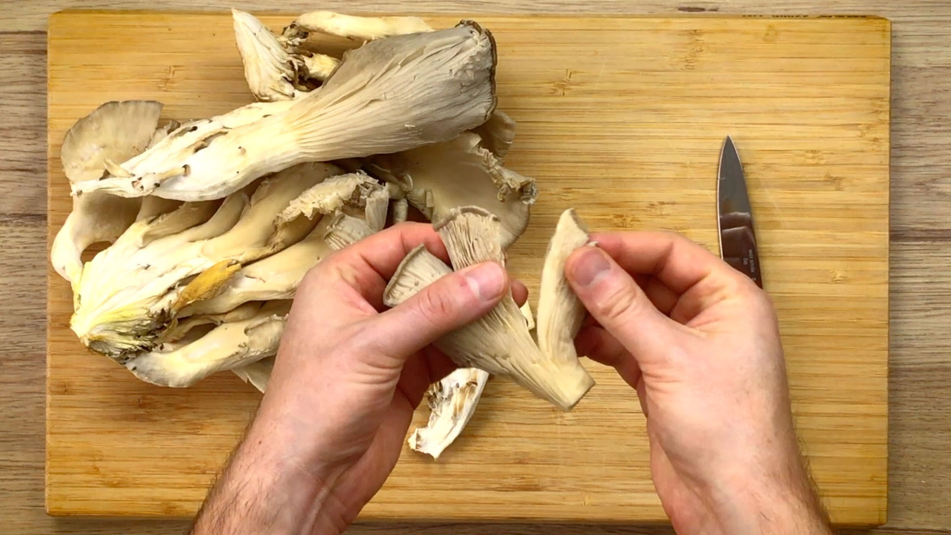 A hand is shredding pearl oyster mushrooms