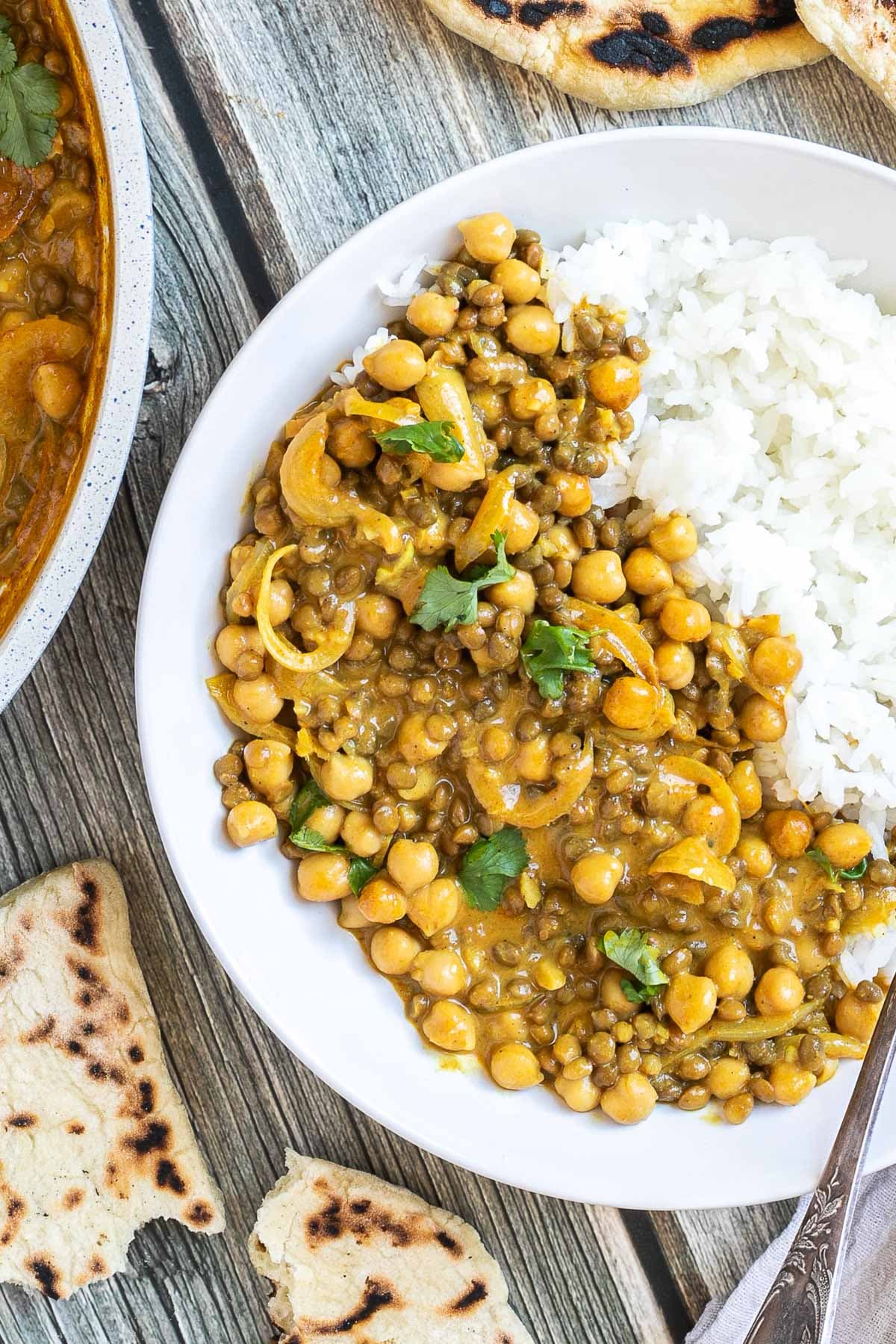 A white plate with white rice, chickpeas, and lentils, in a creamy light brown sauce sprinkled freshly chopped cilantro. A spoon is placed inside.