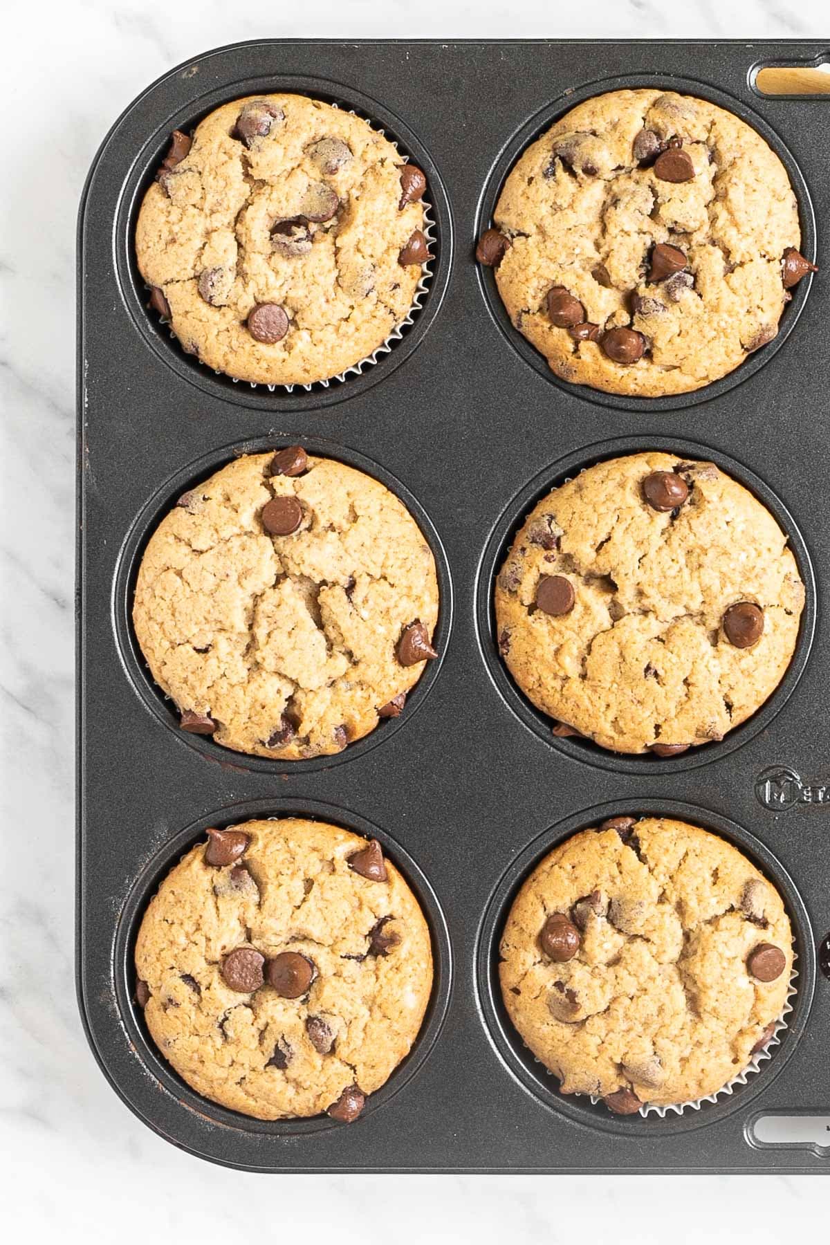 Baked chocolate chip muffins in a muffin tin