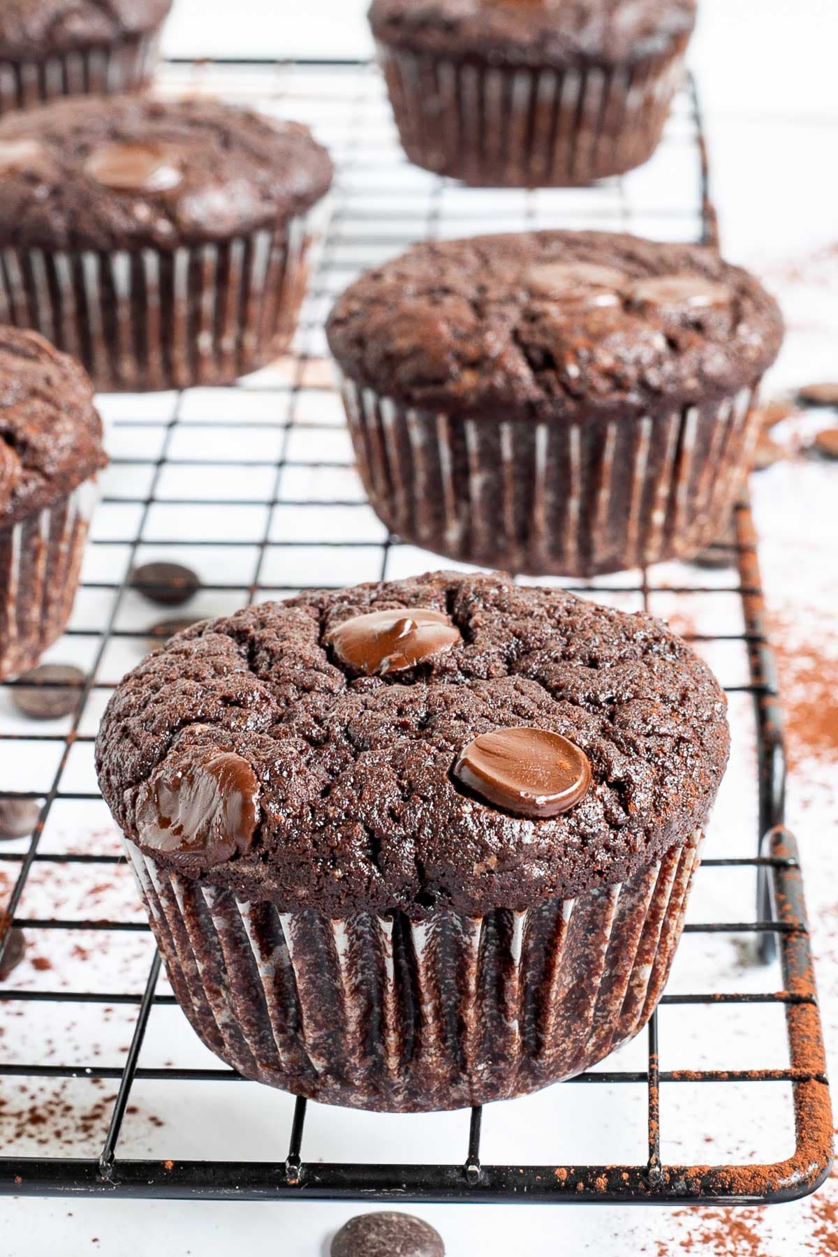 Several chocolate muffins with chocolate chips on a black wire rack. Even more chocolate chips are scattered around and under the rack.