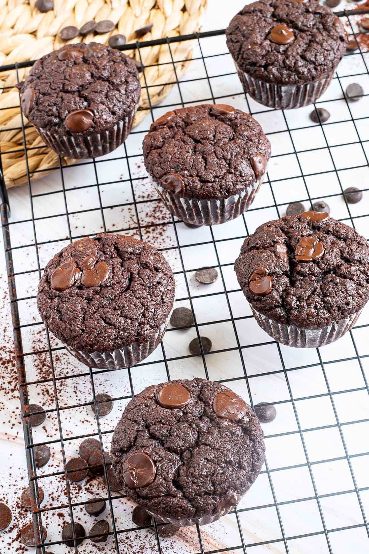 Several chocolate muffins with chocolate chips on a black wire rack. Even more chocolate chips are scattered around and under the rack.