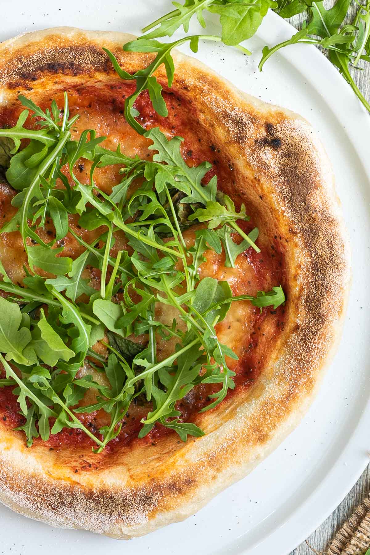 Sliced pizza topped with tomato sauce, melted cheese and fresh arugula on a white pizza plate.