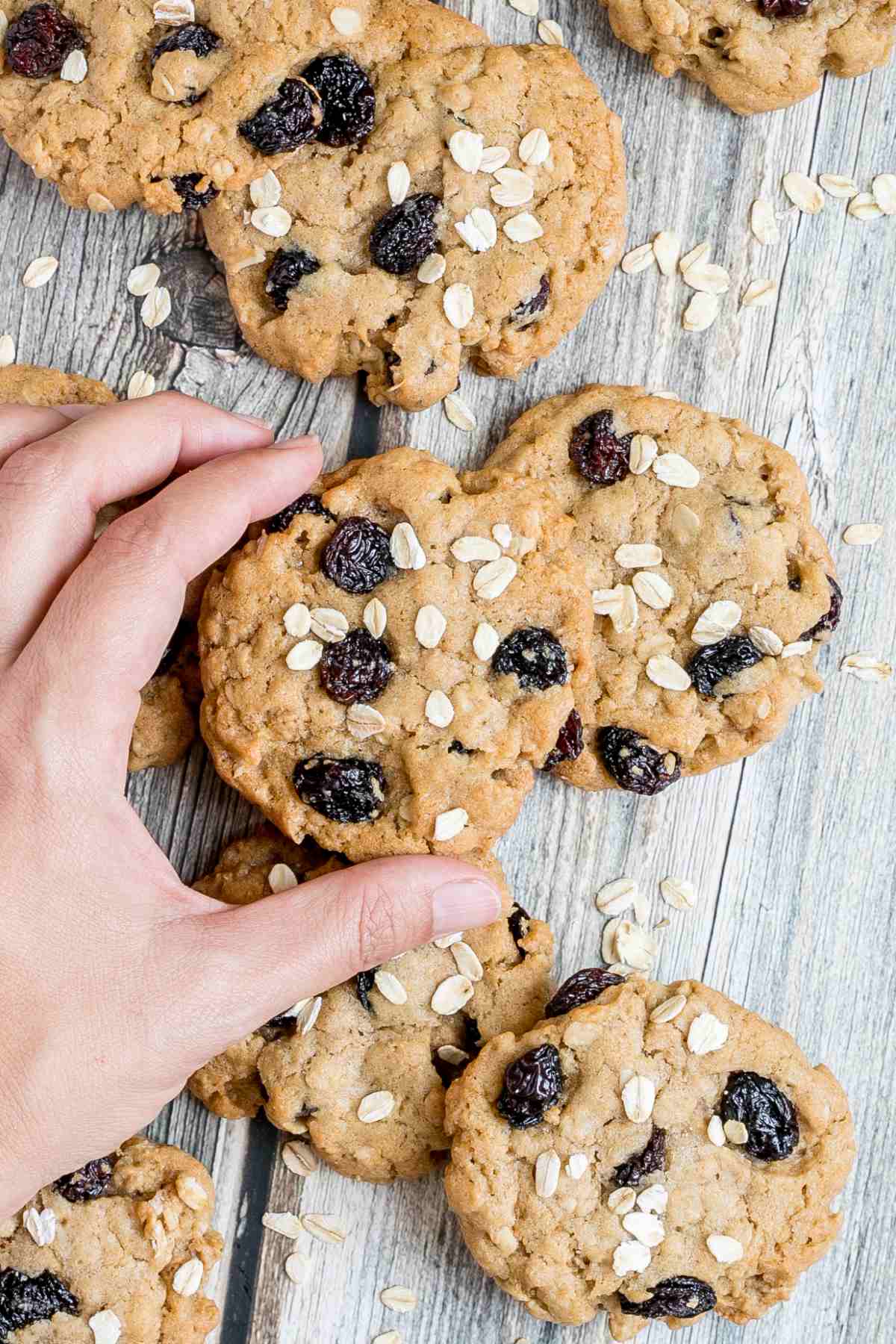 Lots of cookies with oats and raisins on a wooden surface. More oats are sprinkled around them. A hand is holding one cookie in the middle.