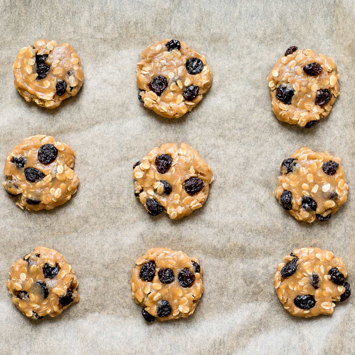 Unbaked round cookie batters with oats and raisins on a parchment paper neatly placed away from each other.