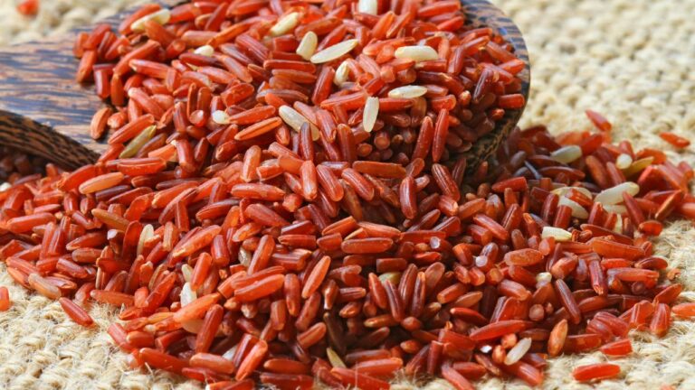 13 Must-Try Grains to Boost Flavor and Nutrition in Your Meals