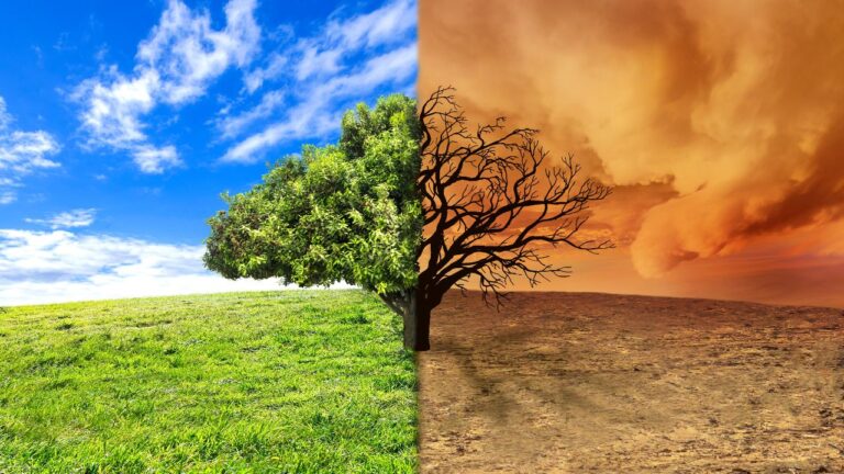 How Climate Change Is Quietly Reshaping What You Eat