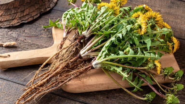 12 Indigenous Superfoods That Sustained Communities for Generations