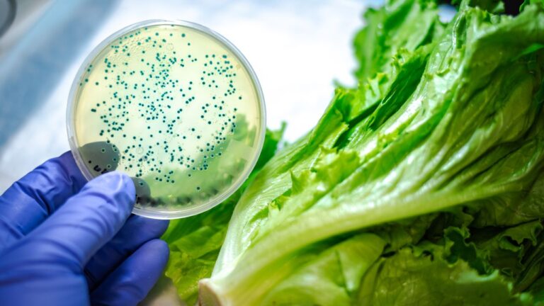 How Grocery Stores Are Tackling the Hidden Dangers of Cross-Contamination