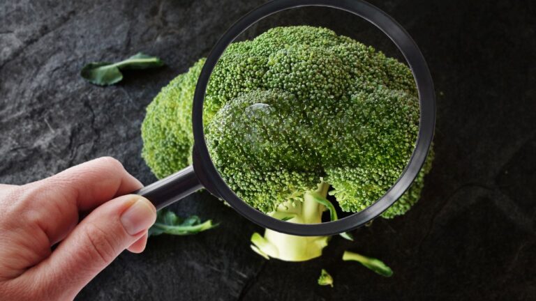 The Truth About Food Recalls and How They’re Handled
