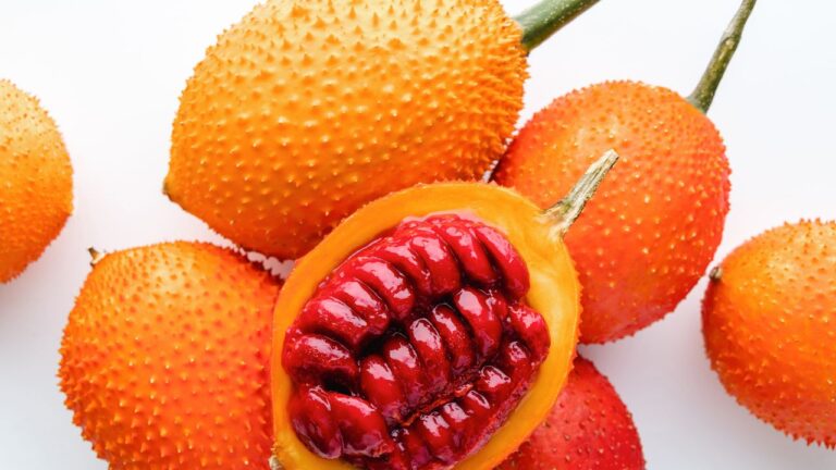 12 Bizarre Superfoods You Probably Haven’t Tried