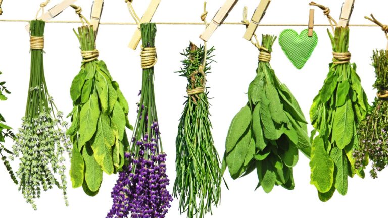 12 Game-Changing Herbs to Instantly Upgrade Your Meals