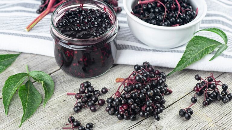 12 Unexpected Wild Foods That Could Harm You If You Forage Without Expert Advice