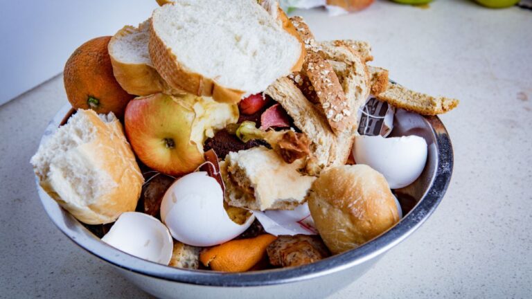 15 Genius Hacks to Slash Food Waste and Boost Your Grocery Savings