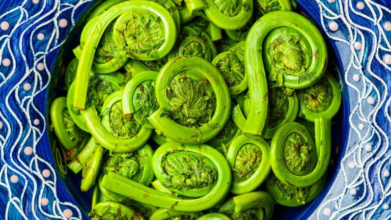 15 Incredible Ingredients That Highlight America’s Regional Flavors