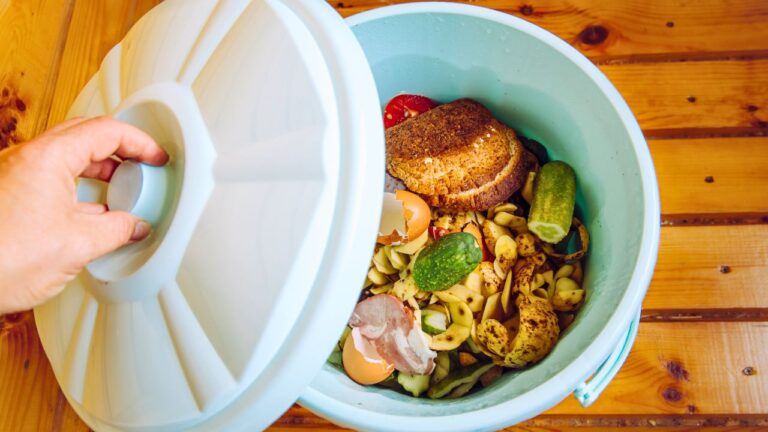 14 Eco-Friendly Kitchen Upgrades That Slash Waste and Elevate Every Meal