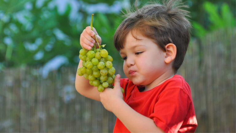 14 Everyday Foods You Should Never Give Your Kids