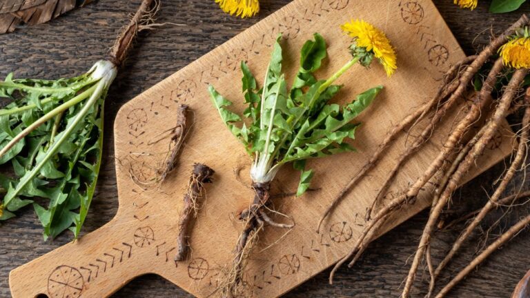 12 Indigenous Superfoods That Kept Communities Thriving for Generations
