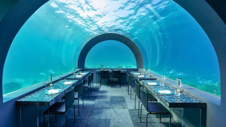 12 Wild and Wonderful Dining Experiences You Have to Try at Least Once