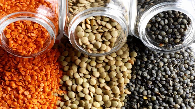 13 Affordable Superfoods That Supercharge Your Meals Without Breaking the Bank