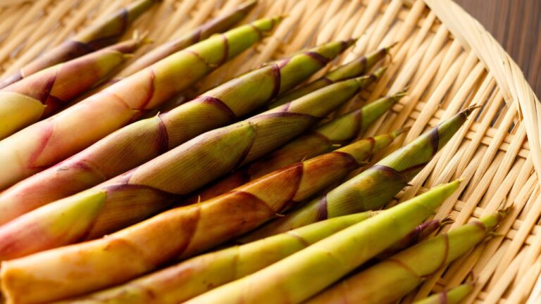 14 Planet-Friendly Foods You’ll Want to Cook and Eat