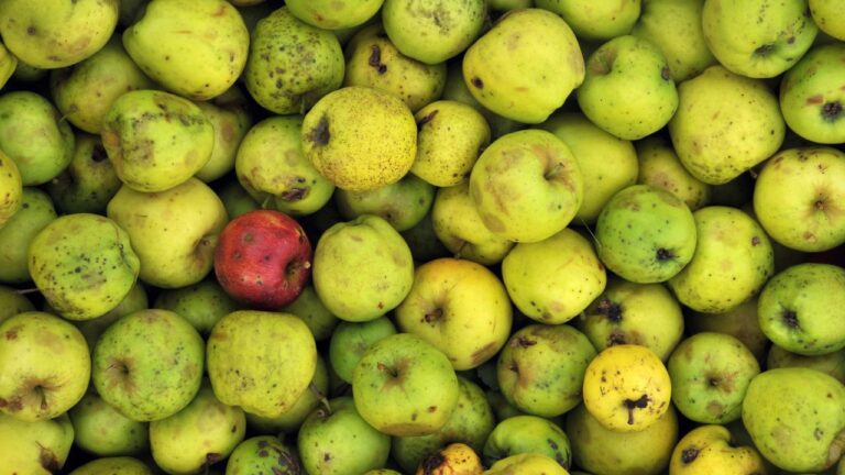 14 Surprising Foods You Can Save and Savor Instead of Throwing Away