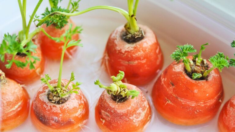 15 Foods You’re Probably Tossing That Are Kitchen Gold