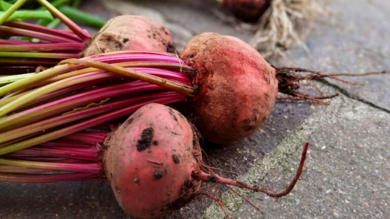 15 Fruits and Vegetables With Surprisingly Long Shelf Lives