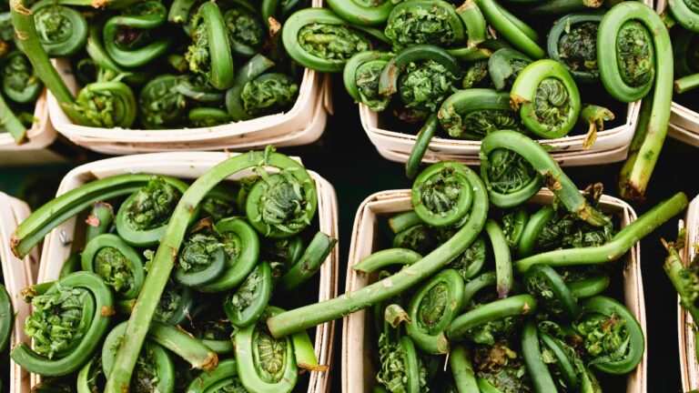 15 Iconic Local Ingredients That Shape the Flavors of U.S. Regional Food