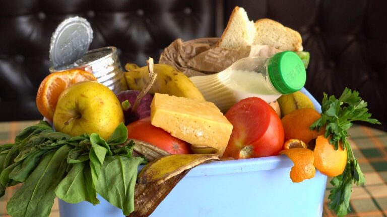 15 Smart Hacks to Cut Food Waste at Home and Save Money