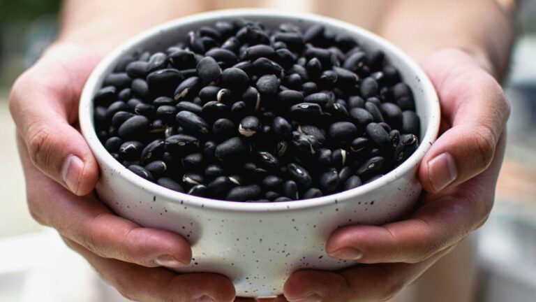 10 Cheap and Tasty Protein Picks for Your Grocery List