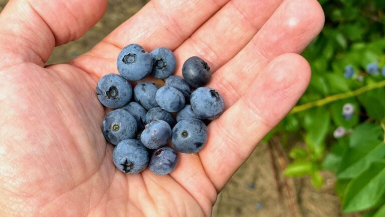 10 Surprising Foods to Elevate Your Snack Game