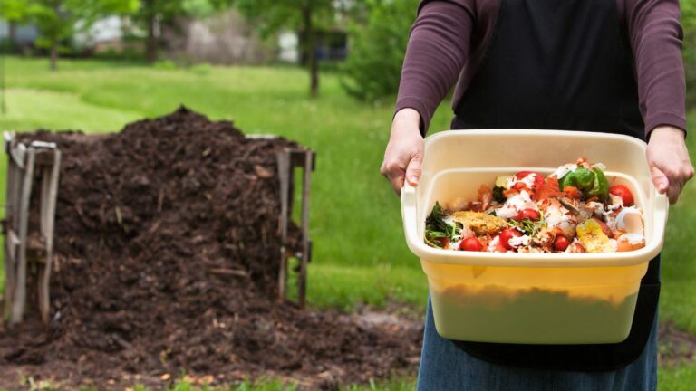 12 Unexpected Ways Your Plate Keeps You Close to Nature