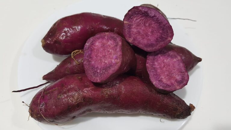 12 Classic Foods That Changed So Much They’re Unrecognizable