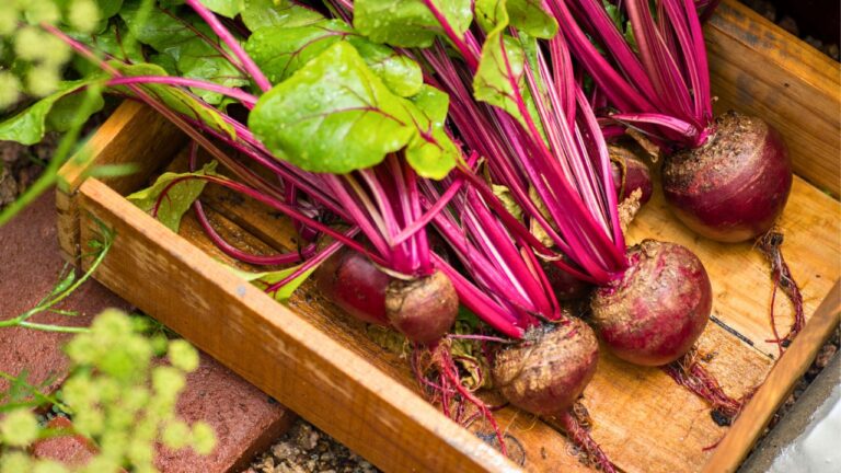 14 Delicious Foods That Work Hard Behind the Scenes