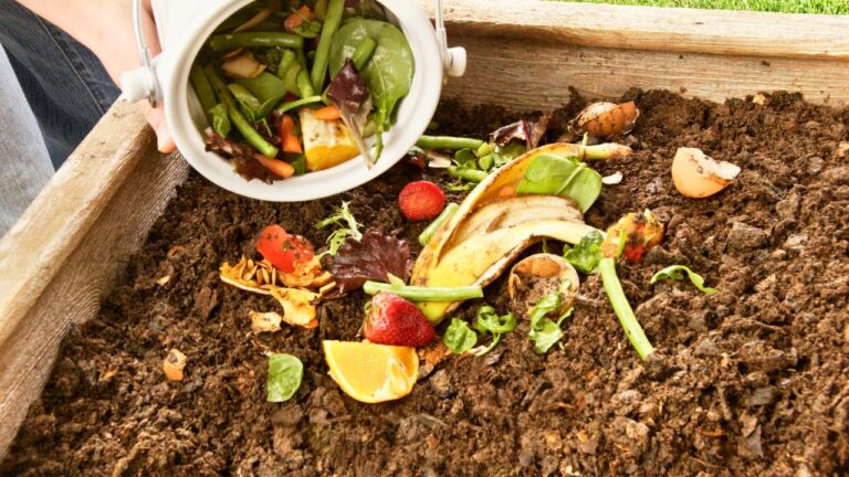 14 Easy Ways to Make Your Kitchen More Sustainable and Cut Food Waste