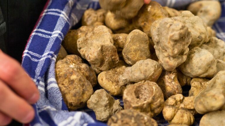 14 Shockingly Expensive Groceries That Blow Up Your Budget