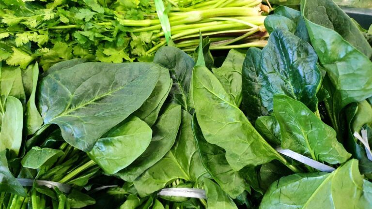 15 Tasty Foods to Add to Your Weekly Menu as You Age