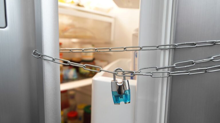 My Daughter Kept Stealing Her Brother’s Food and Clothes. So I Built Him a Mini-Fridge Fortress.