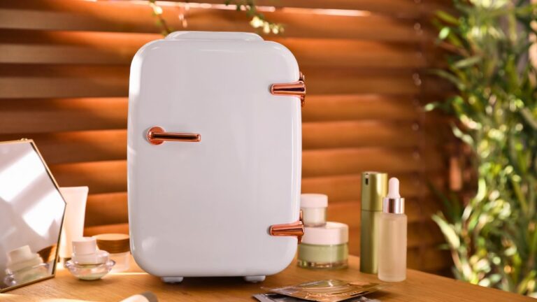 Tired of Stolen Lunches, Worker Installs Mini Fridge—Coworkers Call It “Selfish”
