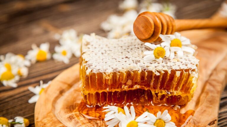 10 Surprising Bible Food Stories From Manna to Water into Wine