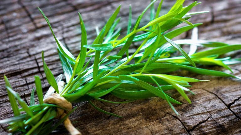 12 Herbs Professional Chefs Rely On to Boost Flavor in Any Dish