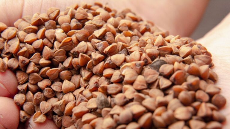 13 Best Grains to Make Your Meals More Flavorful, Textured, and Totally Delicious