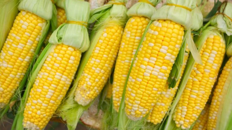 13 Everyday Foods That Have Changed More Than You Realize