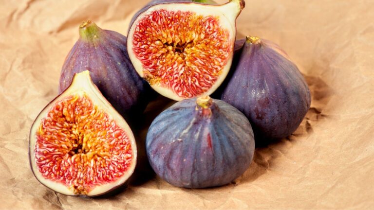 14 Bible Foods That Belong on Your Table Today