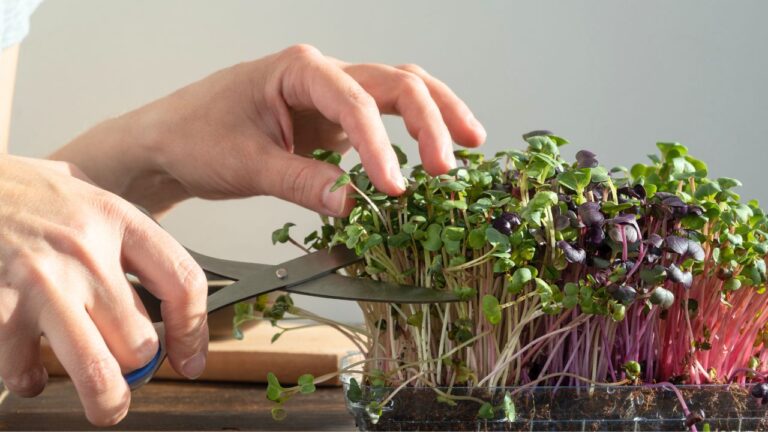 14 Eco-Smart Foods to Add to Your Cart for Tasty, Low-Impact Meals