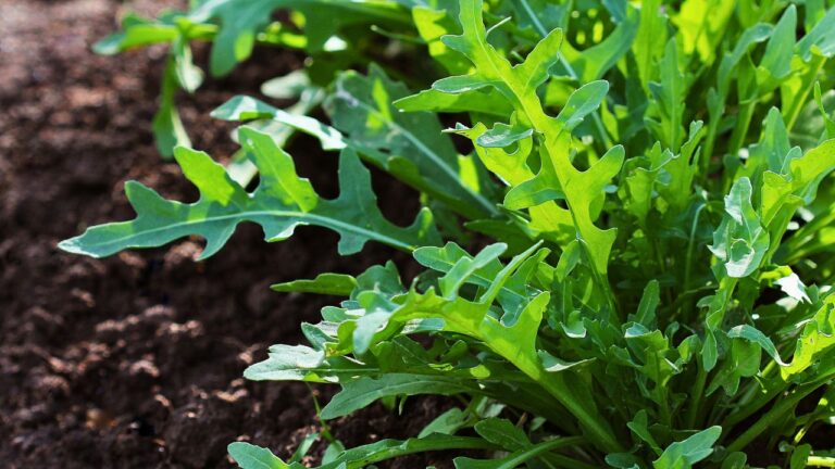 15 Foods That Burst With Flavor When You Grow Them Yourself