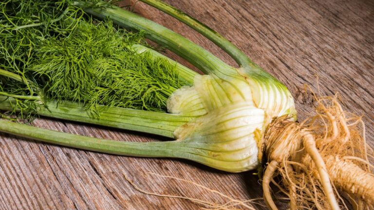 15 Winter Foods Chefs and Home Cooks Are Obsessed With Right Now